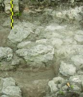 Chronicle of the Archaeological Excavations in Romania, 2014 Campaign. Report no. 6, Albeşti, La Cetate<br /><a href='CronicaCAfotografii/2014/006-Albesti-Cetate/fig-3.jpg' target=_blank>Display the same picture in a new window</a>