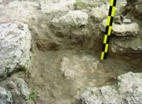 Chronicle of the Archaeological Excavations in Romania, 2014 Campaign. Report no. 6, Albeşti, La Cetate<br /><a href='CronicaCAfotografii/2014/006-Albesti-Cetate/fig-4.jpg' target=_blank>Display the same picture in a new window</a>