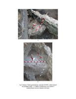Chronicle of the Archaeological Excavations in Romania, 2014 Campaign. Report no. 7, Alba Iulia, Sediul guvernatorului consular.<br /> Sector Raport-geo.<br /><a href='CronicaCAfotografii/2014/007-Alba-Iulia-Palatulguvernatorului/ilustratie-fotografica-apulum-2014-page-08.jpg' target=_blank>Display the same picture in a new window</a>