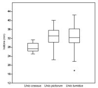 Cronica Cercetărilor Arheologice din România, Campania 2014. Raportul nr. 13, Borduşani, Popina Mare (Popina Borduşani)<br /><a href='CronicaCAfotografii/2014/013-Bordusani-Popina/fig-1.jpg' target=_blank>Priveşte aceeaşi imagine într-o fereastră nouă</a>