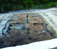 Cronica Cercetărilor Arheologice din România, Campania 2014. Raportul nr. 13, Borduşani, Popina Mare (Popina Borduşani)<br /><a href='CronicaCAfotografii/2014/013-Bordusani-Popina/fig-2.jpg' target=_blank>Priveşte aceeaşi imagine într-o fereastră nouă</a>