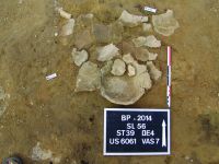 Cronica Cercetărilor Arheologice din România, Campania 2014. Raportul nr. 13, Borduşani, Popina Mare (Popina Borduşani)<br /><a href='CronicaCAfotografii/2014/013-Bordusani-Popina/fig-3.jpg' target=_blank>Priveşte aceeaşi imagine într-o fereastră nouă</a>