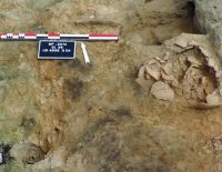 Cronica Cercetărilor Arheologice din România, Campania 2014. Raportul nr. 13, Borduşani, Popina Mare (Popina Borduşani)<br /><a href='CronicaCAfotografii/2014/013-Bordusani-Popina/fig-4.jpg' target=_blank>Priveşte aceeaşi imagine într-o fereastră nouă</a>