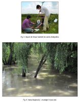 Cronica Cercetărilor Arheologice din România, Campania 2014. Raportul nr. 16, Bucşani, La Pod<br /><a href='CronicaCAfotografii/2014/016-Bucsani/ilustratie-page-3.jpg' target=_blank>Priveşte aceeaşi imagine într-o fereastră nouă</a>