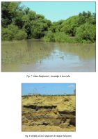 Cronica Cercetărilor Arheologice din România, Campania 2014. Raportul nr. 16, Bucşani, La Pod<br /><a href='CronicaCAfotografii/2014/016-Bucsani/ilustratie-page-4.jpg' target=_blank>Priveşte aceeaşi imagine într-o fereastră nouă</a>