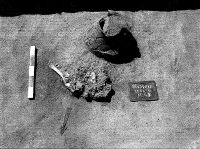 Cronica Cercetărilor Arheologice din România, Campania 2014. Raportul nr. 37, Fântânele, La Gâţa (Dâmbul Popii)<br /><a href='CronicaCAfotografii/2014/037-Fantanele/M45.jpg' target=_blank>Priveşte aceeaşi imagine într-o fereastră nouă</a>