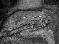 Cronica Cercetărilor Arheologice din România, Campania 2014. Raportul nr. 37, Fântânele, La Gâţa (Dâmbul Popii)<br /><a href='CronicaCAfotografii/2014/037-Fantanele/M49.jpg' target=_blank>Priveşte aceeaşi imagine într-o fereastră nouă</a>