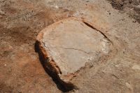 Cronica Cercetărilor Arheologice din România, Campania 2014. Raportul nr. 59, Pietrele, Gorgana<br /><a href='CronicaCAfotografii/2014/059-Pietrele-Gorgana/fig-4.JPG' target=_blank>Priveşte aceeaşi imagine într-o fereastră nouă</a>