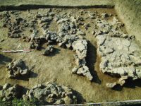 Cronica Cercetărilor Arheologice din România, Campania 2014. Raportul nr. 59, Pietrele, Gorgana<br /><a href='CronicaCAfotografii/2014/059-Pietrele-Gorgana/fig-7.JPG' target=_blank>Priveşte aceeaşi imagine într-o fereastră nouă</a>