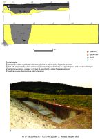 Cronica Cercetărilor Arheologice din România, Campania 2014. Raportul nr. 60, Pietroasa Mică, Gruiu Dării<br /><a href='CronicaCAfotografii/2014/060-Pietroasa-Mica/gd-2014-planse-cronica-page-1.jpg' target=_blank>Priveşte aceeaşi imagine într-o fereastră nouă</a>