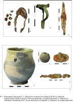 Chronicle of the Archaeological Excavations in Romania, 2014 Campaign. Report no. 61, Pietroasele, Staţiunea de Cercetări Viti-Vinicole Pietroasa (SCV Pietroasa)<br /><a href='CronicaCAfotografii/2014/061-Pietroasele/pl-7.jpg' target=_blank>Display the same picture in a new window</a>