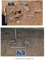 Chronicle of the Archaeological Excavations in Romania, 2014 Campaign. Report no. 67, Uroi, Măgura Uroiului<br /><a href='CronicaCAfotografii/2014/067-Rapoltu-Mare-Magura-Uroiului/rapoltu-mare-magura-uroiului-3.jpg' target=_blank>Display the same picture in a new window</a>