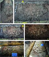 Chronicle of the Archaeological Excavations in Romania, 2014 Campaign. Report no. 117, Costeşti, Cier (Lângă Şcoală)<br /><a href='CronicaCAfotografii/2014/117-Costesti/costesti-014-fig-5.jpg' target=_blank>Display the same picture in a new window</a>