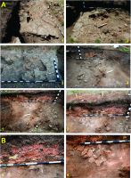 Chronicle of the Archaeological Excavations in Romania, 2014 Campaign. Report no. 117, Costeşti, Cier (Lângă Şcoală)<br /><a href='CronicaCAfotografii/2014/117-Costesti/costesti-014-fig-7.jpg' target=_blank>Display the same picture in a new window</a>