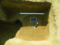 Cronica Cercetărilor Arheologice din România, Campania 2014. Raportul nr. 119, Fulgeriş, La Trei Cireşi (Dealul Fulgeriş).<br /> Sectorul Ilustratie.<br /><a href='CronicaCAfotografii/2014/119-Fulgeris/fig-12-a.JPG' target=_blank>Priveşte aceeaşi imagine într-o fereastră nouă</a>