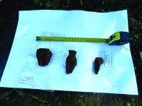 Cronica Cercetărilor Arheologice din România, Campania 2014. Raportul nr. 119, Fulgeriş, La Trei Cireşi (Dealul Fulgeriş).<br /> Sectorul Ilustratie.<br /><a href='CronicaCAfotografii/2014/119-Fulgeris/fig-14-a.JPG' target=_blank>Priveşte aceeaşi imagine într-o fereastră nouă</a>