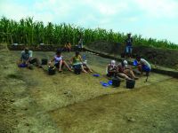 Cronica Cercetărilor Arheologice din România, Campania 2014. Raportul nr. 119, Fulgeriş, La Trei Cireşi (Dealul Fulgeriş).<br /> Sectorul Ilustratie.<br /><a href='CronicaCAfotografii/2014/119-Fulgeris/fig-4-a.JPG' target=_blank>Priveşte aceeaşi imagine într-o fereastră nouă</a>