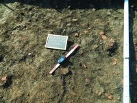 Cronica Cercetărilor Arheologice din România, Campania 2014. Raportul nr. 119, Fulgeriş, La Trei Cireşi (Dealul Fulgeriş).<br /> Sectorul Ilustratie.<br /><a href='CronicaCAfotografii/2014/119-Fulgeris/fig-7-a.JPG' target=_blank>Priveşte aceeaşi imagine într-o fereastră nouă</a>