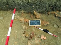 Cronica Cercetărilor Arheologice din România, Campania 2014. Raportul nr. 119, Fulgeriş, La Trei Cireşi (Dealul Fulgeriş).<br /> Sectorul Ilustratie.<br /><a href='CronicaCAfotografii/2014/119-Fulgeris/fig-7-b.JPG' target=_blank>Priveşte aceeaşi imagine într-o fereastră nouă</a>