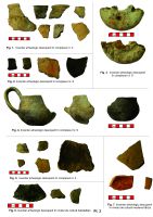 Chronicle of the Archaeological Excavations in Romania, 2014 Campaign. Report no. 120, Gheorghe Doja, La Văcărie<br /><a href='CronicaCAfotografii/2014/120-Gheorghe-Doja/gh-doja-pl-3.jpg' target=_blank>Display the same picture in a new window</a>