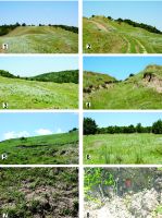 Cronica Cercetărilor Arheologice din România, Campania 2014. Raportul nr. 121, Giurgeşti, Dealul Mănăstirii (Chetrosu) (Sub Pădure)<br /><a href='CronicaCAfotografii/2014/121-Giurgesti/giurgesti-015-fig-7.jpg' target=_blank>Priveşte aceeaşi imagine într-o fereastră nouă</a>