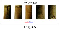 Cronica Cercetărilor Arheologice din România, Campania 2014. Raportul nr. 124, Isaccea, La Pontonul Vechi (Cetate, Eski-kale).<br /> Sectorul 023-6543.<br /><a href='CronicaCAfotografii/2014/124-Isaccea/nov-fig-10.jpg' target=_blank>Priveşte aceeaşi imagine într-o fereastră nouă</a>