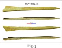 Cronica Cercetărilor Arheologice din România, Campania 2014. Raportul nr. 124, Isaccea, La Pontonul Vechi (Cetate, Eski-kale).<br /> Sectorul 023-6543.<br /><a href='CronicaCAfotografii/2014/124-Isaccea/nov-fig-3.jpg' target=_blank>Priveşte aceeaşi imagine într-o fereastră nouă</a>