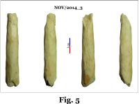 Cronica Cercetărilor Arheologice din România, Campania 2014. Raportul nr. 124, Isaccea, La Pontonul Vechi (Cetate, Eski-kale).<br /> Sectorul 023-6543.<br /><a href='CronicaCAfotografii/2014/124-Isaccea/nov-fig-5.jpg' target=_blank>Priveşte aceeaşi imagine într-o fereastră nouă</a>