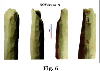 Cronica Cercetărilor Arheologice din România, Campania 2014. Raportul nr. 124, Isaccea, La Pontonul Vechi (Cetate, Eski-kale).<br /> Sectorul 023-6543.<br /><a href='CronicaCAfotografii/2014/124-Isaccea/nov-fig-6.jpg' target=_blank>Priveşte aceeaşi imagine într-o fereastră nouă</a>