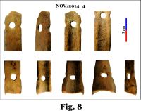 Cronica Cercetărilor Arheologice din România, Campania 2014. Raportul nr. 124, Isaccea, La Pontonul Vechi (Cetate, Eski-kale).<br /> Sectorul 023-6543.<br /><a href='CronicaCAfotografii/2014/124-Isaccea/nov-fig-8.jpg' target=_blank>Priveşte aceeaşi imagine într-o fereastră nouă</a>