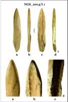 Cronica Cercetărilor Arheologice din România, Campania 2014. Raportul nr. 128, Negrileşti, Şcoala Generală (La Punte, Pin, Curtea Şcolii).<br /> Sectorul 2-Industria-materiilor-dure-animale.<br /><a href='CronicaCAfotografii/2014/128-Negrilesti/ngs-imda-fig-1.jpg' target=_blank>Priveşte aceeaşi imagine într-o fereastră nouă</a>