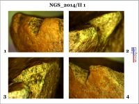 Cronica Cercetărilor Arheologice din România, Campania 2014. Raportul nr. 128, Negrileşti, Şcoala Generală (La Punte, Pin, Curtea Şcolii).<br /> Sectorul 2-Industria-materiilor-dure-animale.<br /><a href='CronicaCAfotografii/2014/128-Negrilesti/ngs-imda-fig-11.jpg' target=_blank>Priveşte aceeaşi imagine într-o fereastră nouă</a>