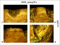 Cronica Cercetărilor Arheologice din România, Campania 2014. Raportul nr. 128, Negrileşti, Şcoala Generală (La Punte, Pin, Curtea Şcolii).<br /> Sectorul 2-Industria-materiilor-dure-animale.<br /><a href='CronicaCAfotografii/2014/128-Negrilesti/ngs-imda-fig-12.jpg' target=_blank>Priveşte aceeaşi imagine într-o fereastră nouă</a>