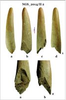 Cronica Cercetărilor Arheologice din România, Campania 2014. Raportul nr. 128, Negrileşti, Şcoala Generală (La Punte, Pin, Curtea Şcolii).<br /> Sectorul 2-Industria-materiilor-dure-animale.<br /><a href='CronicaCAfotografii/2014/128-Negrilesti/ngs-imda-fig-13.jpg' target=_blank>Priveşte aceeaşi imagine într-o fereastră nouă</a>