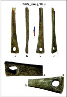 Cronica Cercetărilor Arheologice din România, Campania 2014. Raportul nr. 128, Negrileşti, Şcoala Generală (La Punte, Pin, Curtea Şcolii).<br /> Sectorul 2-Industria-materiilor-dure-animale.<br /><a href='CronicaCAfotografii/2014/128-Negrilesti/ngs-imda-fig-14.jpg' target=_blank>Priveşte aceeaşi imagine într-o fereastră nouă</a>