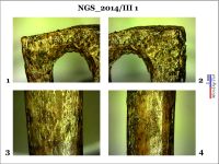 Cronica Cercetărilor Arheologice din România, Campania 2014. Raportul nr. 128, Negrileşti, Şcoala Generală (La Punte, Pin, Curtea Şcolii).<br /> Sectorul 2-Industria-materiilor-dure-animale.<br /><a href='CronicaCAfotografii/2014/128-Negrilesti/ngs-imda-fig-15.jpg' target=_blank>Priveşte aceeaşi imagine într-o fereastră nouă</a>