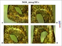 Cronica Cercetărilor Arheologice din România, Campania 2014. Raportul nr. 128, Negrileşti, Şcoala Generală (La Punte, Pin, Curtea Şcolii).<br /> Sectorul 2-Industria-materiilor-dure-animale.<br /><a href='CronicaCAfotografii/2014/128-Negrilesti/ngs-imda-fig-16.jpg' target=_blank>Priveşte aceeaşi imagine într-o fereastră nouă</a>