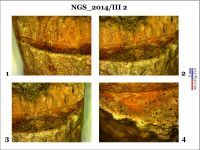 Cronica Cercetărilor Arheologice din România, Campania 2014. Raportul nr. 128, Negrileşti, Şcoala Generală (La Punte, Pin, Curtea Şcolii).<br /> Sectorul 2-Industria-materiilor-dure-animale.<br /><a href='CronicaCAfotografii/2014/128-Negrilesti/ngs-imda-fig-18.jpg' target=_blank>Priveşte aceeaşi imagine într-o fereastră nouă</a>