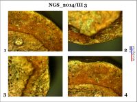 Cronica Cercetărilor Arheologice din România, Campania 2014. Raportul nr. 128, Negrileşti, Şcoala Generală (La Punte, Pin, Curtea Şcolii).<br /> Sectorul 2-Industria-materiilor-dure-animale.<br /><a href='CronicaCAfotografii/2014/128-Negrilesti/ngs-imda-fig-21.jpg' target=_blank>Priveşte aceeaşi imagine într-o fereastră nouă</a>