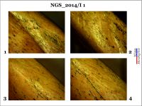Cronica Cercetărilor Arheologice din România, Campania 2014. Raportul nr. 128, Negrileşti, Şcoala Generală (La Punte, Pin, Curtea Şcolii).<br /> Sectorul 2-Industria-materiilor-dure-animale.<br /><a href='CronicaCAfotografii/2014/128-Negrilesti/ngs-imda-fig-3.jpg' target=_blank>Priveşte aceeaşi imagine într-o fereastră nouă</a>