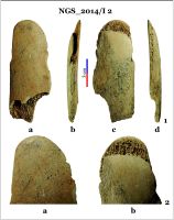 Cronica Cercetărilor Arheologice din România, Campania 2014. Raportul nr. 128, Negrileşti, Şcoala Generală (La Punte, Pin, Curtea Şcolii).<br /> Sectorul 2-Industria-materiilor-dure-animale.<br /><a href='CronicaCAfotografii/2014/128-Negrilesti/ngs-imda-fig-4.jpg' target=_blank>Priveşte aceeaşi imagine într-o fereastră nouă</a>