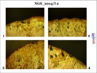 Cronica Cercetărilor Arheologice din România, Campania 2014. Raportul nr. 128, Negrileşti, Şcoala Generală (La Punte, Pin, Curtea Şcolii).<br /> Sectorul 2-Industria-materiilor-dure-animale.<br /><a href='CronicaCAfotografii/2014/128-Negrilesti/ngs-imda-fig-5.jpg' target=_blank>Priveşte aceeaşi imagine într-o fereastră nouă</a>