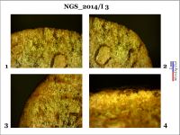 Cronica Cercetărilor Arheologice din România, Campania 2014. Raportul nr. 128, Negrileşti, Şcoala Generală (La Punte, Pin, Curtea Şcolii).<br /> Sectorul 2-Industria-materiilor-dure-animale.<br /><a href='CronicaCAfotografii/2014/128-Negrilesti/ngs-imda-fig-8.jpg' target=_blank>Priveşte aceeaşi imagine într-o fereastră nouă</a>