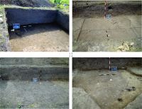 Cronica Cercetărilor Arheologice din România, Campania 2014. Raportul nr. 128, Negrileşti, Şcoala Generală (La Punte, Pin, Curtea Şcolii).<br /> Sectorul 2-Industria-materiilor-dure-animale.<br /><a href='CronicaCAfotografii/2014/128-Negrilesti/plansa-17-cx16-17-25.jpg' target=_blank>Priveşte aceeaşi imagine într-o fereastră nouă</a>