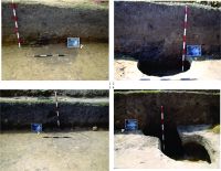 Cronica Cercetărilor Arheologice din România, Campania 2014. Raportul nr. 128, Negrileşti, Şcoala Generală (La Punte, Pin, Curtea Şcolii).<br /> Sectorul 2-Industria-materiilor-dure-animale.<br /><a href='CronicaCAfotografii/2014/128-Negrilesti/plansa-22.jpg' target=_blank>Priveşte aceeaşi imagine într-o fereastră nouă</a>