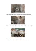 Chronicle of the Archaeological Excavations in Romania, 2014 Campaign. Report no. 139, Răchitoasa<br /><a href='CronicaCAfotografii/2014/139-Rachitoasa/fig-10.jpg' target=_blank>Display the same picture in a new window</a>