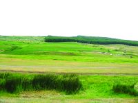 Cronica Cercetărilor Arheologice din România, Campania 2015. Raportul nr. 19, Isaiia, Balta Popii<br /><a href='CronicaCAfotografii/2015/019-Isaiia-Balta-popii/fig-3.jpg' target=_blank>Priveşte aceeaşi imagine într-o fereastră nouă</a>