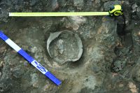 Cronica Cercetărilor Arheologice din România, Campania 2015. Raportul nr. 19, Isaiia, Balta Popii<br /><a href='CronicaCAfotografii/2015/019-Isaiia-Balta-popii/fig-8.jpg' target=_blank>Priveşte aceeaşi imagine într-o fereastră nouă</a>