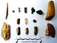 Chronicle of the Archaeological Excavations in Romania, 2015 Campaign. Report no. 26, Oarda, Bordane.<br /> Sector 02si04.<br /><a href='CronicaCAfotografii/2015/026-Limba-Oarda-de-Jos/fig-5.JPG' target=_blank>Display the same picture in a new window</a>