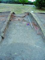 Cronica Cercetărilor Arheologice din România, Campania 2015. Raportul nr. 35, Opatiţa, Călăşturi<br /><a href='CronicaCAfotografii/2015/035-Opatita/DSCN0317.JPG' target=_blank>Priveşte aceeaşi imagine într-o fereastră nouă</a>